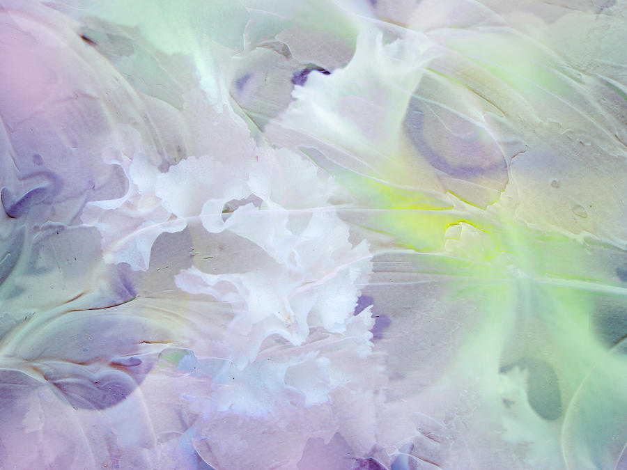 Abstract Photograph - Light Touch of Tenderness. Petals Abstract by Jenny Rainbow