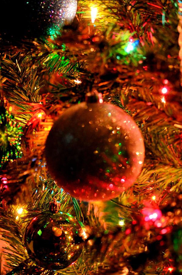 Light Up the Christmas Tree Photograph by Maria Urso