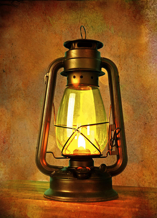 Light up the Lantern Photograph by Lisa Lambert-Shank