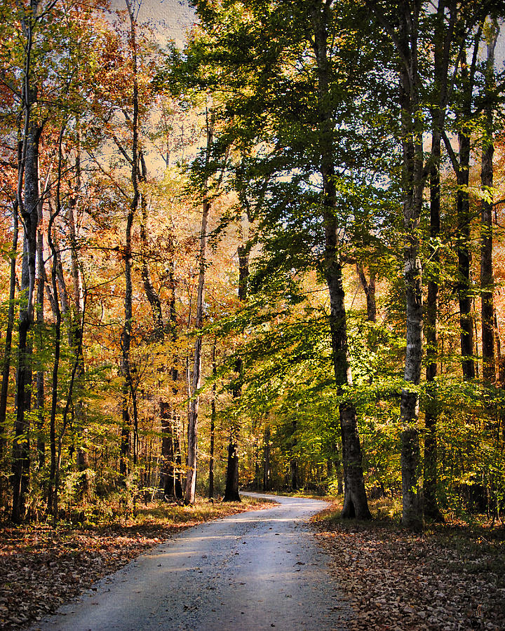 Light Your Way Photograph by Jai Johnson - Fine Art America