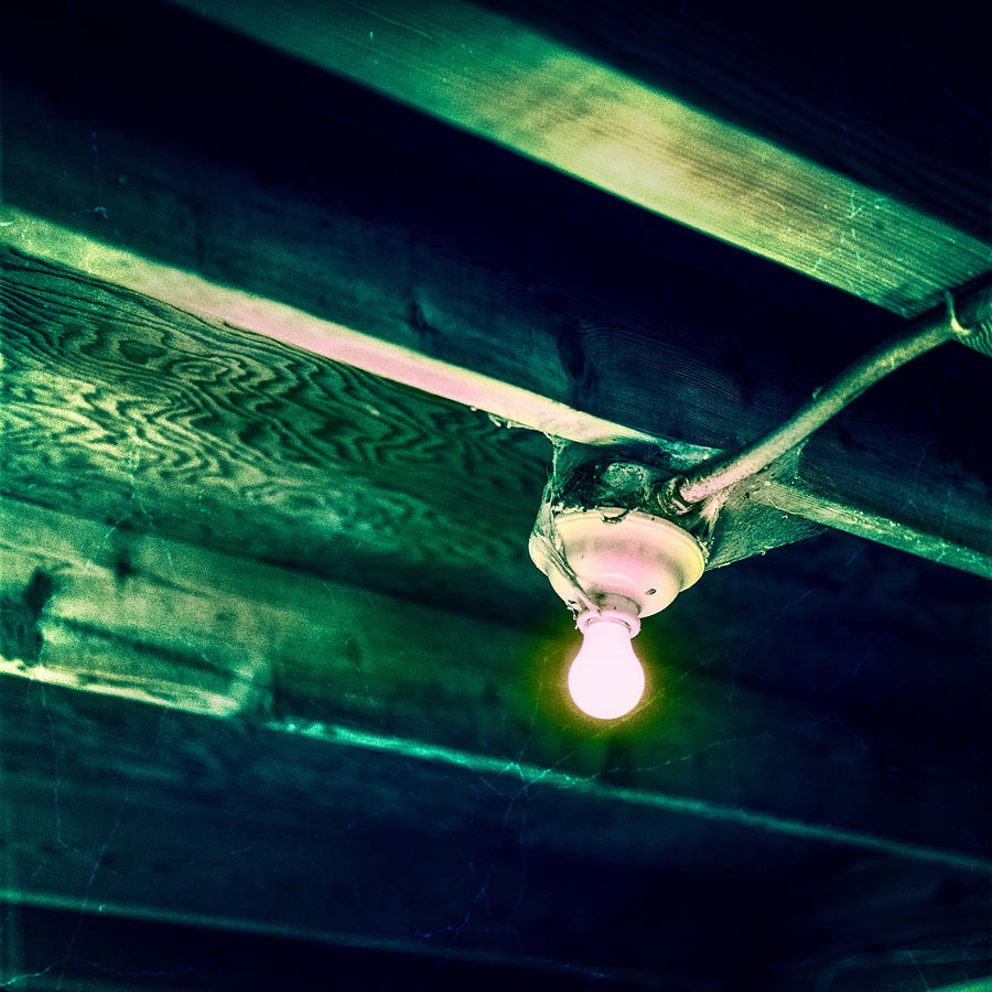 Lightbulb And Cobwebs Photograph by YoPedro