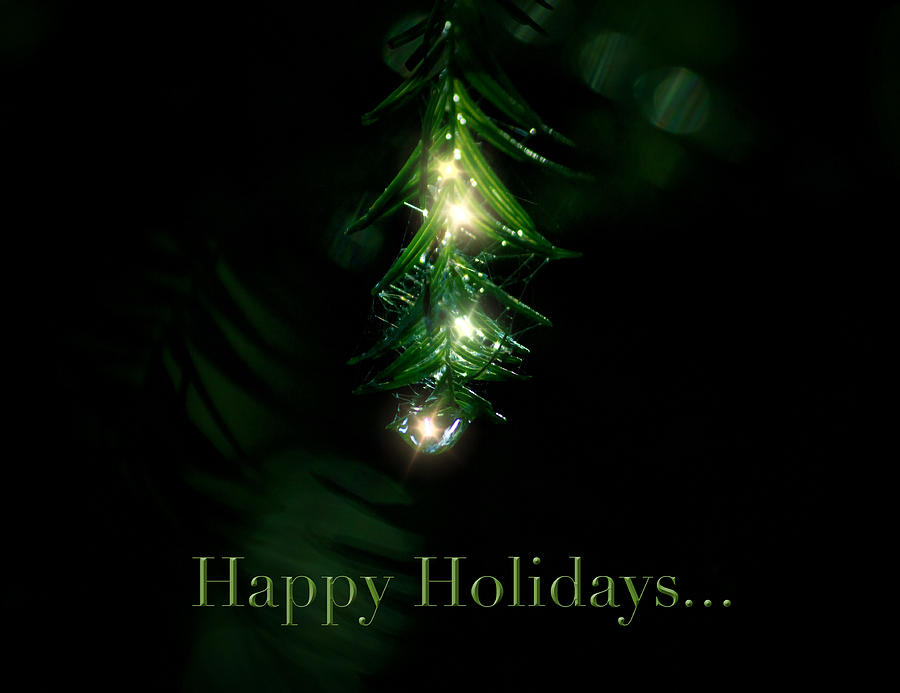 Lighted Dewdrops Holiday Greeting Card Photograph by Mark Andrew Thomas