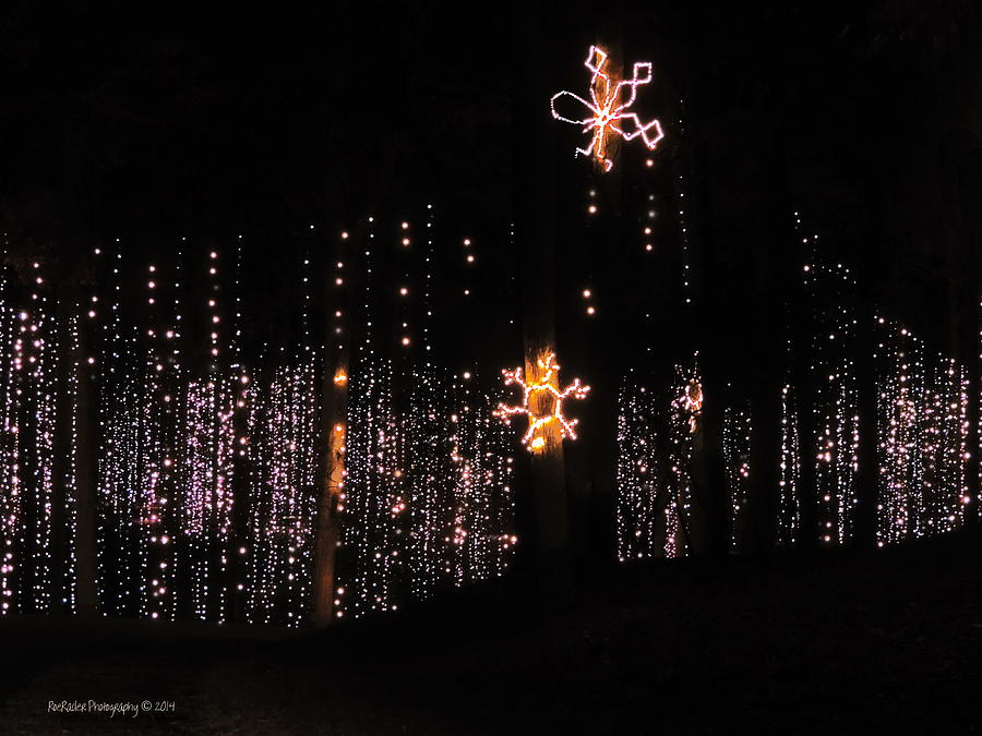 Lighted Fairy Garden Photograph By Roe Rader