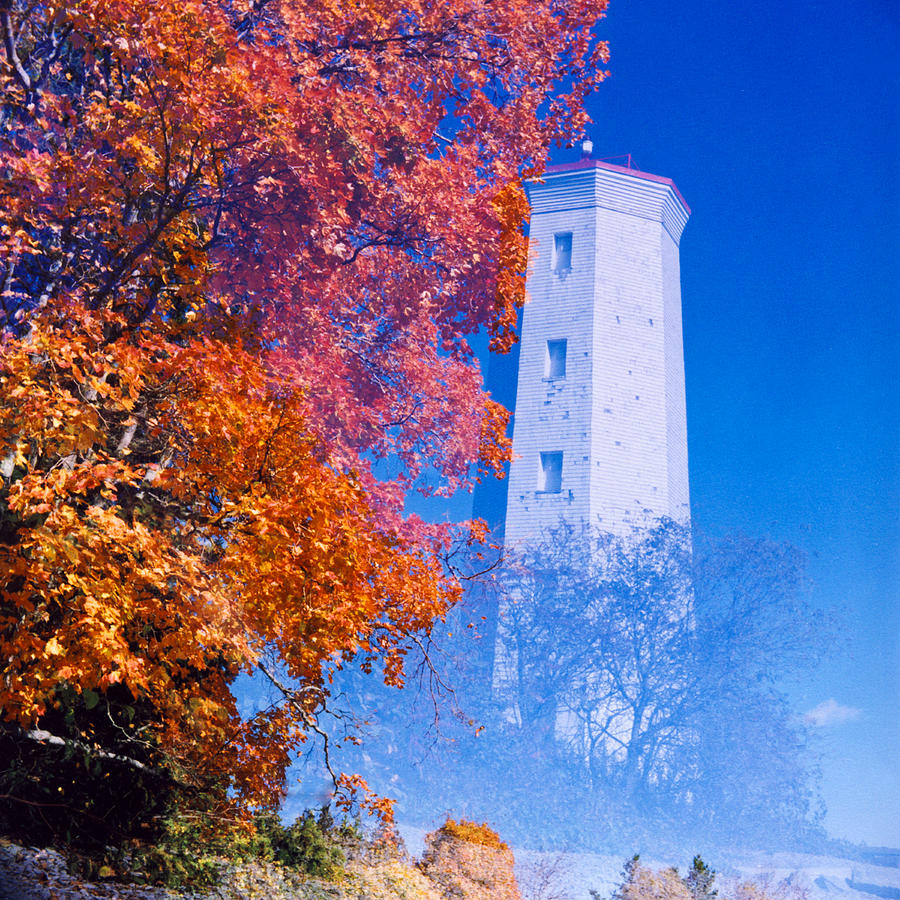 Lighthouse and Maple Tree 1D Photograph by Bernd Buessecker | Fine Art ...