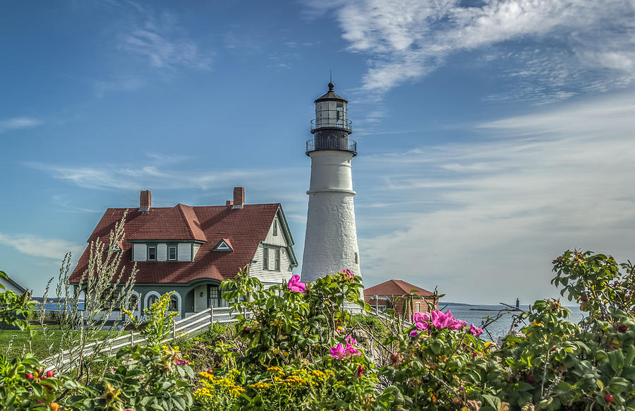 Lighthouse and wild roses Photograph by Jane Luxton