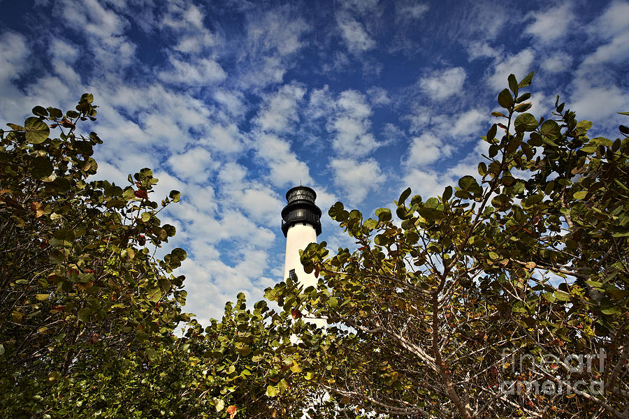 Miami Photograph - Lighthouse at Bill Baggs Florida State Park by Eyzen M Kim