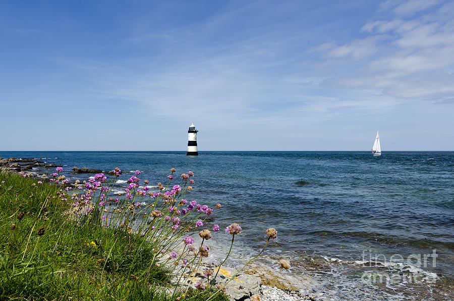 Lighthouse at Penmon Photograph by Steev Stamford