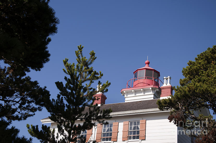 Lighthouse At Yaquina Bay Photograph