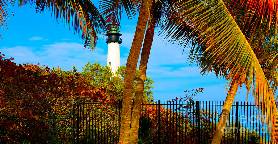 Biscayne Bay Photograph - Lighthouse by Dan Hilsenrath