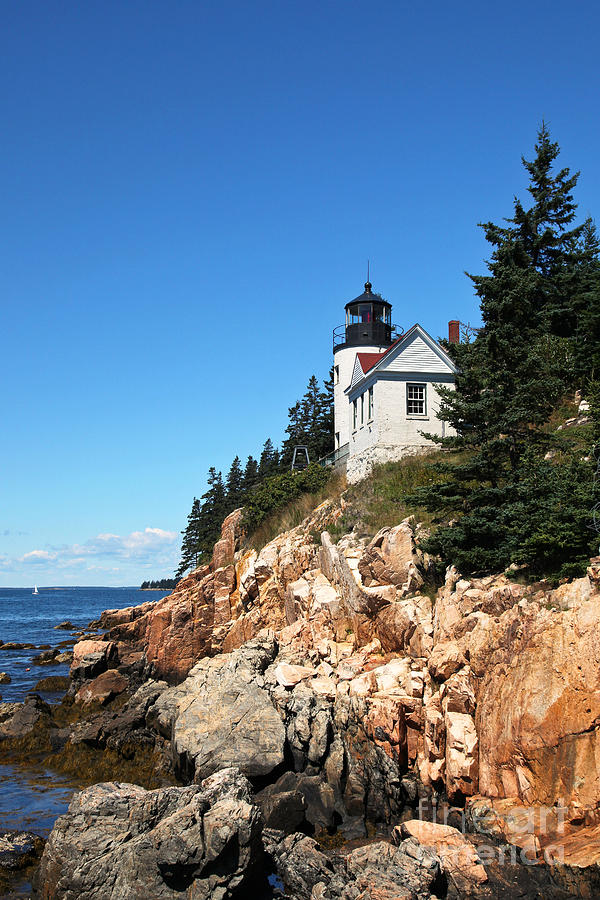 Lighthouse in Acadia Photograph by Miro Vrlik