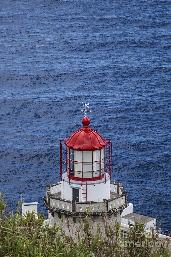 Lighthouse In Portugal Photograph
