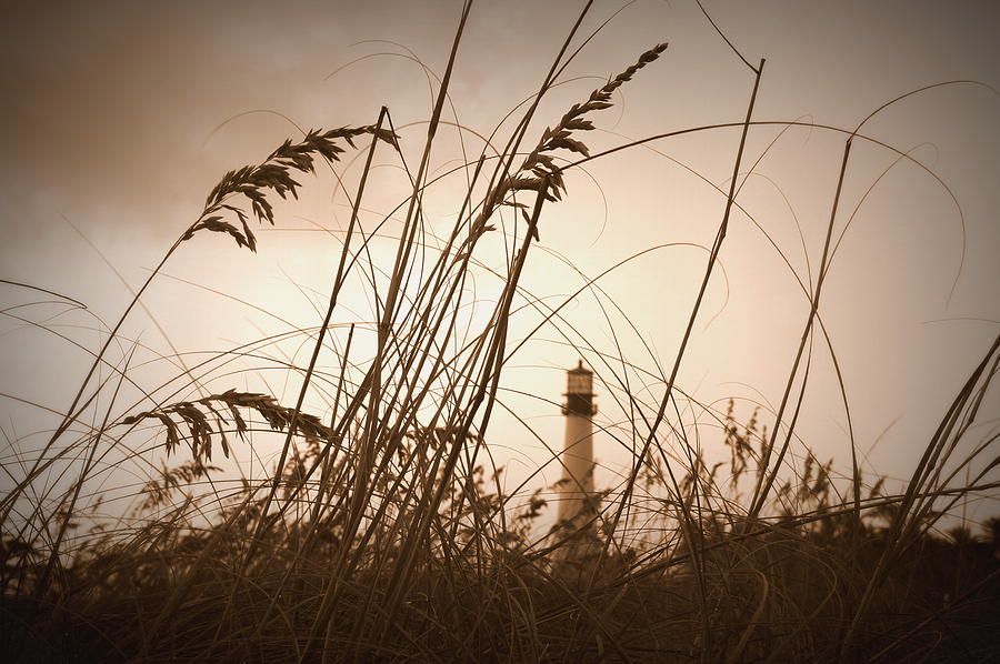 Lighthouse in the Distance inn Sepia Photograph by Laurie Perry