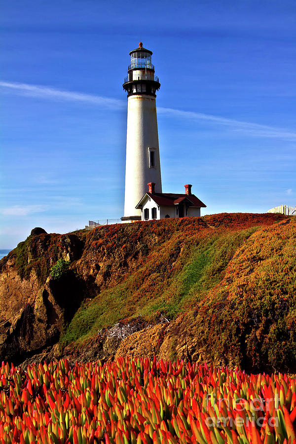 Lighthouse with Red Blooms Photograph by Charles Lupica