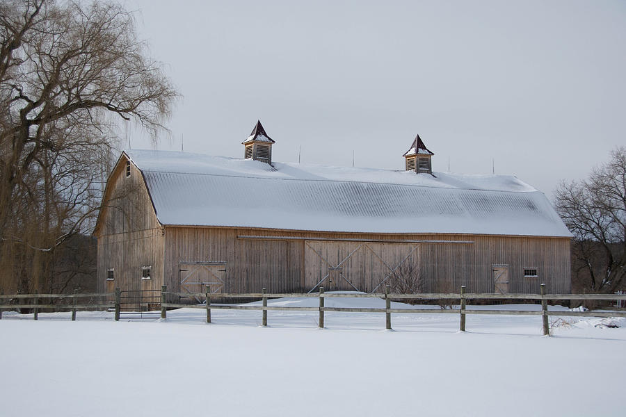 Barn Photograph - Lightly Browned Barn  7K00040B by Guy Whiteley