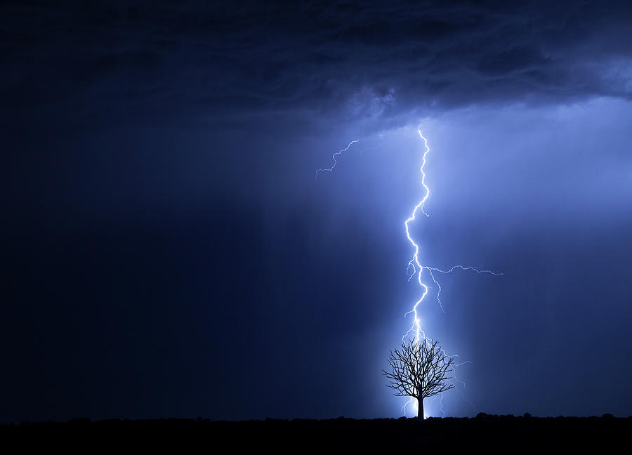 Lightning And Tree Photograph by Don Farrall