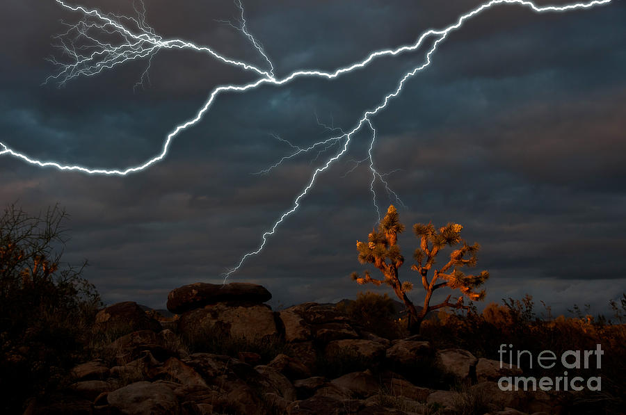 Lightning, Joshua Tree Highway Photograph by Mark Newman