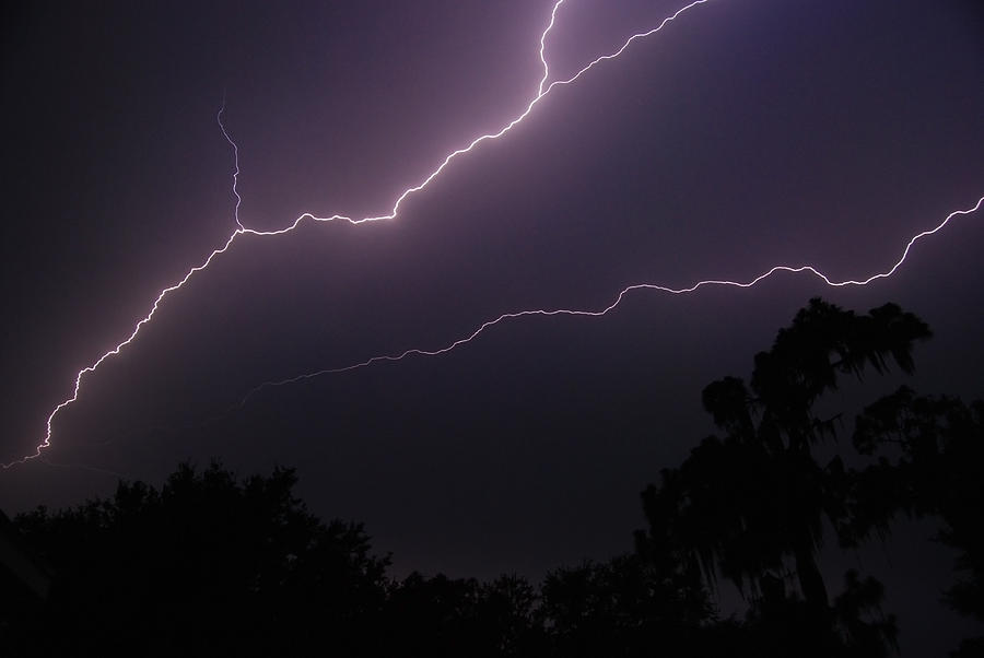Lightning Photograph by Larah McElroy