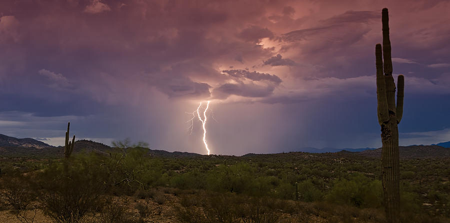 Nature Photograph - Lightning Lights Up the Desert  by Saija Lehtonen