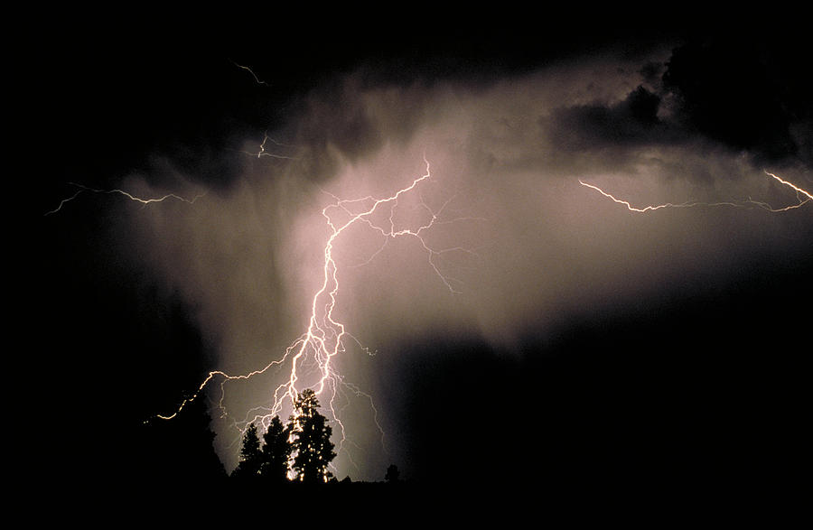 Lightning Over Trees Photograph by John Deeks Fine Art America