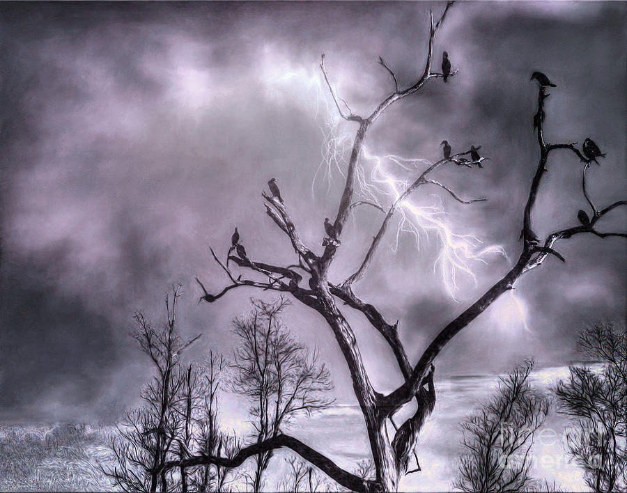 Lightning Storm Photograph