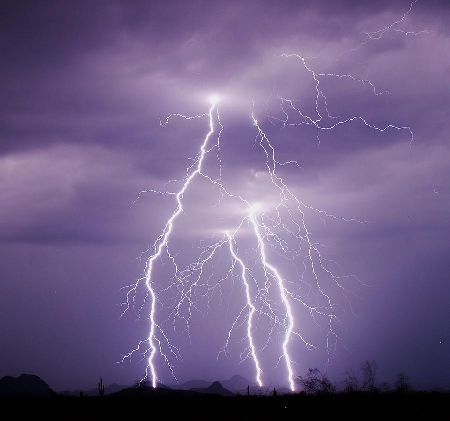 Lightning Strikes In The Sonoran Desert Photograph by Nic Leister