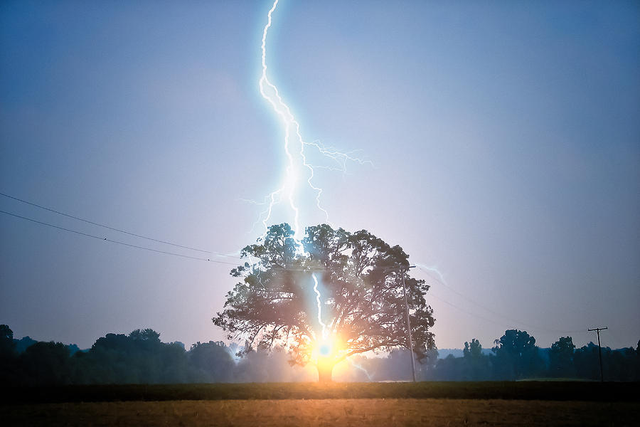 Lightning Strikes Oak Tree   Photograph by Lars Lentz