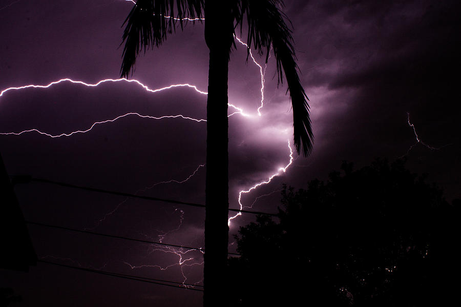 Lightning Threw The Trees Photograph
