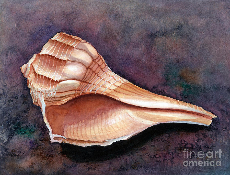 Shell Painting - Lightning Whelk by Barbara Jewell