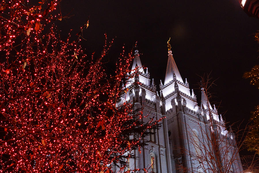 Lights And Temple Photograph