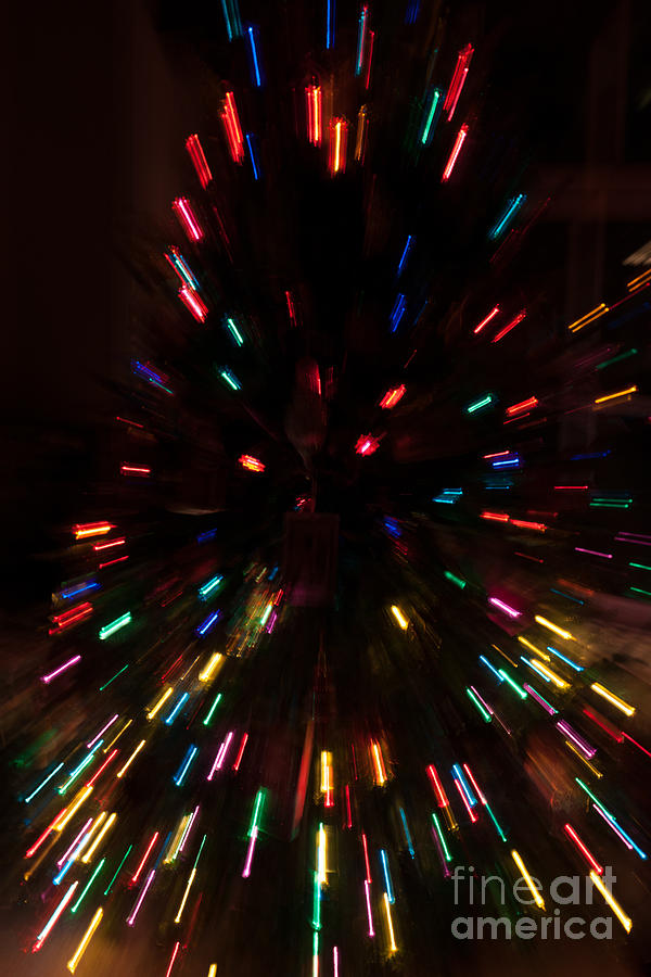 Lights In Motion Photograph
