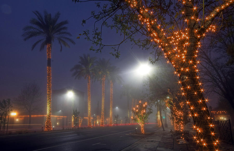 Lights in the Fog Photograph by Sue Cullumber