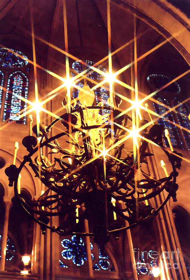 Lights of Notre Dame Photograph by Elizabeth Hoskinson