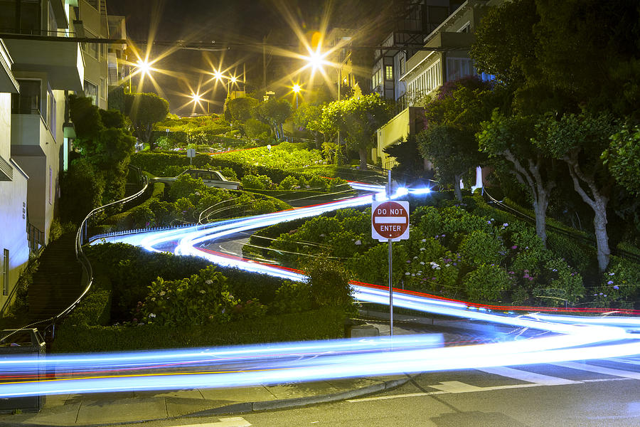 Tree Photograph - Lights on Lombard by Bryant Coffey