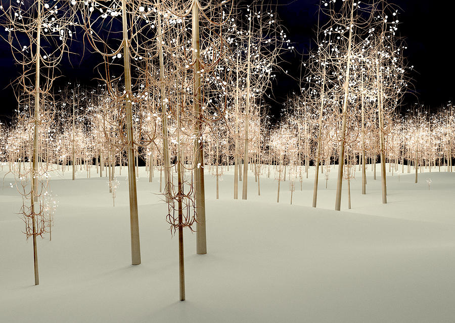 Lights Digital Art - Lights by Paul McManus Lights Digital Art - Lights by Paul McManus
