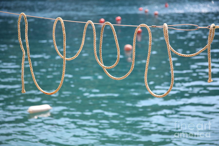 Ligurian Loops  Photograph by Lynn England