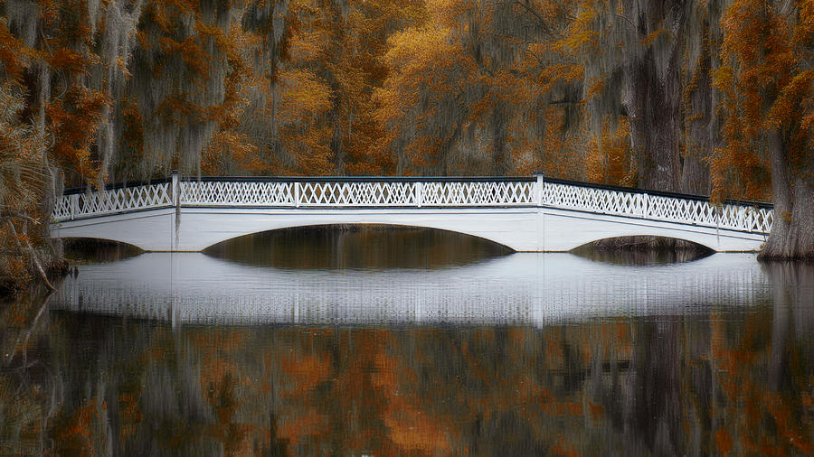 Like a Bridge Photograph by Jean-Pierre Ducondi