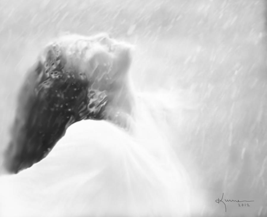 She Loves the Rain Photograph by Kume Bryant