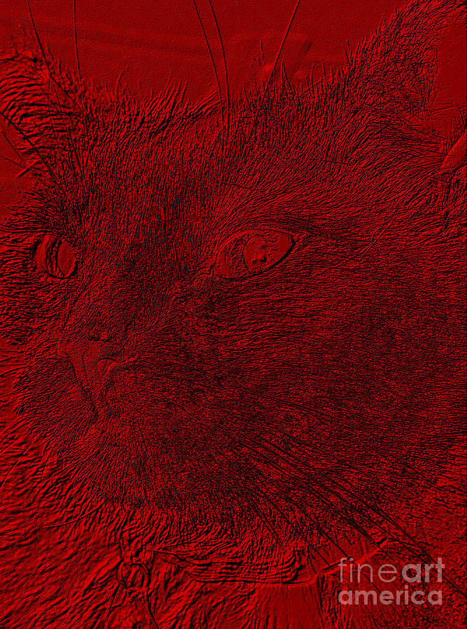 Like Red. Cat Face. Portrait Digital Art by Oksana Semenchenko
