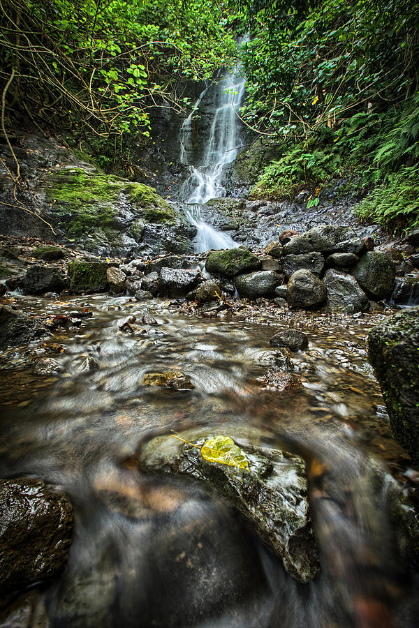 Likeke Falls Photograph by Chris Multop