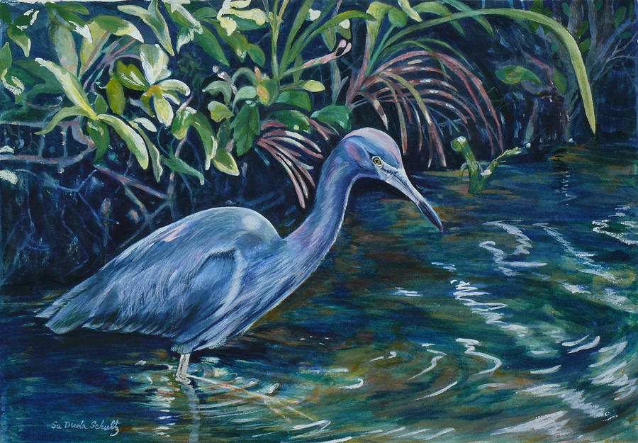 Lil Blue Wading in Shallow Waters Painting by Susan Duda