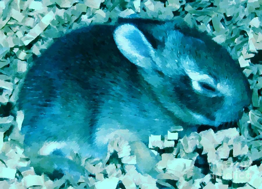Rabbit Photograph - Lil Faux Bunny Blue by Margaret Newcomb