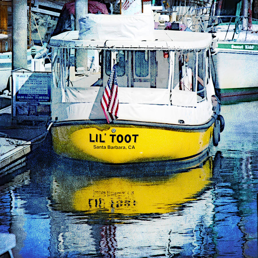 Lil Toot Photograph by Beth Taylor