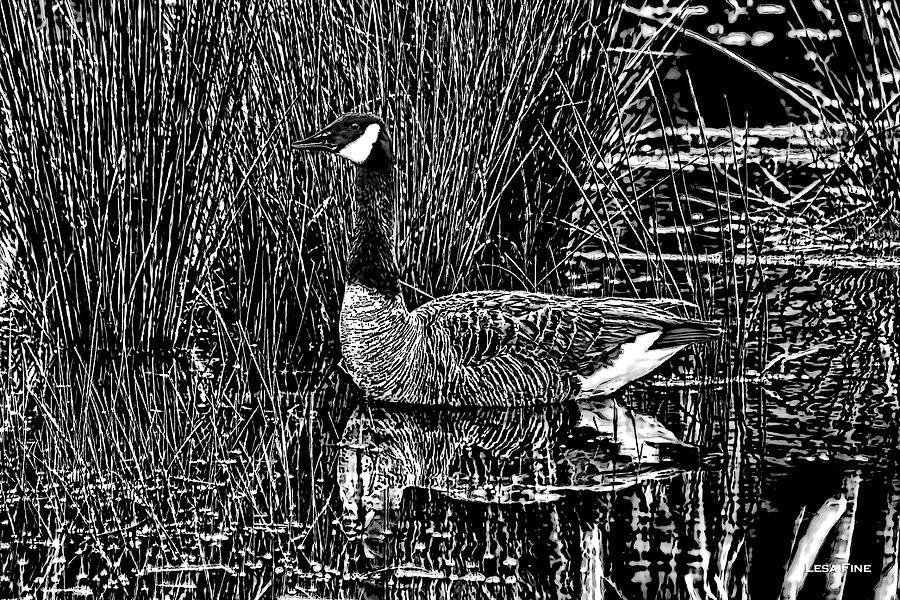 Geese Photograph - Lila Goose the Pond Queen HDR GRASS ART BW by Lesa Fine