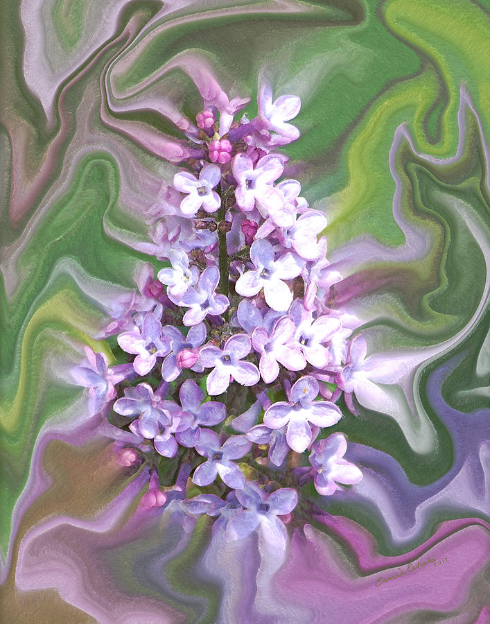 Lilac Abstract Digital Art by Ernest Echols