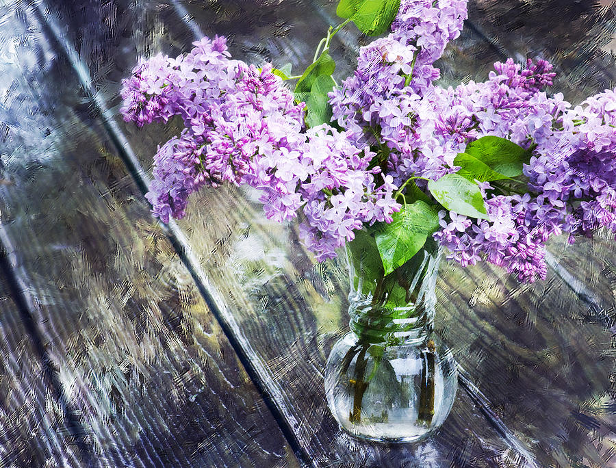 Lilac - After the Rain Photograph by Lisa Bryant - Fine Art America