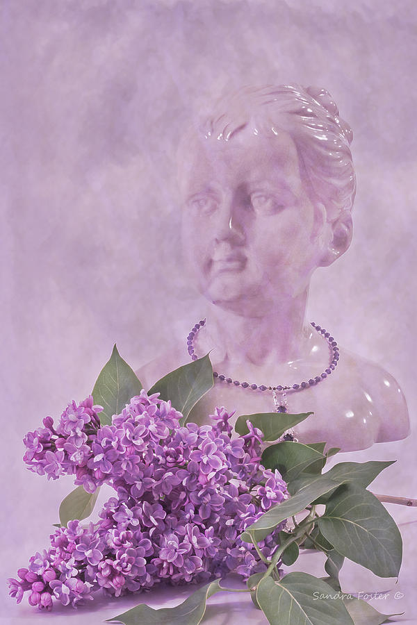 Lilac Fragrance Photograph by Sandra Foster