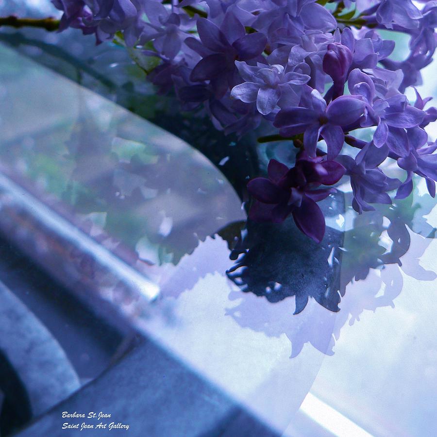 Lilac Glass Photograph by Barbara St Jean