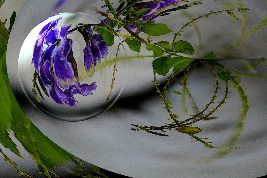 Lilac in a bubble Digital Art by Carrie OBrien Sibley