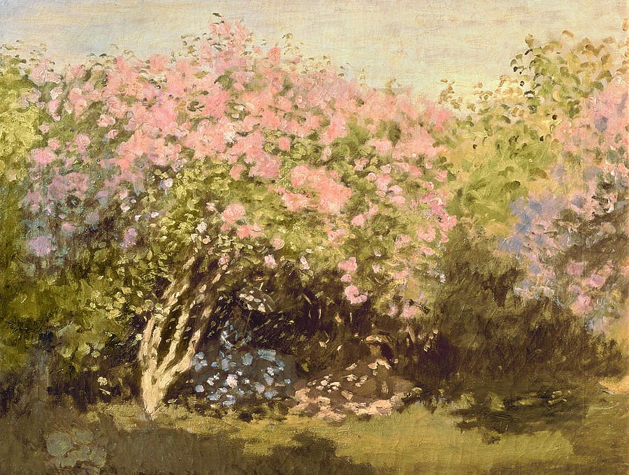 Claude Monet Painting - Lilac In The Sun, 1873 by Claude Monet