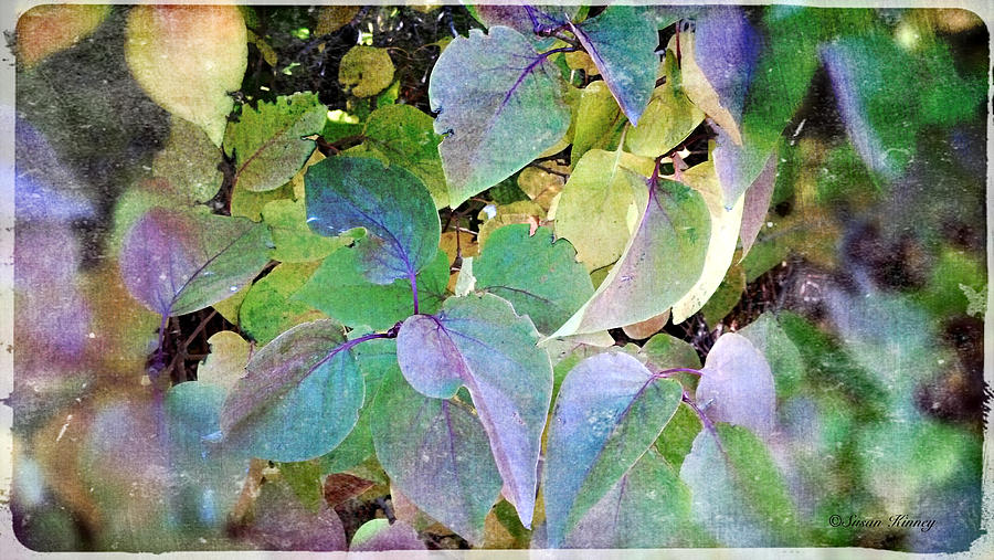 Lilac Leafs 2 Digital Art by Susan Kinney